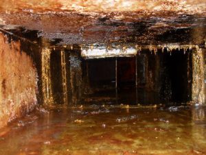 commercial kitchen grease duct cleanup cedar park tx